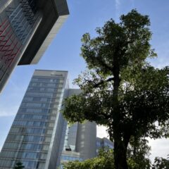 ハイテクと自然の調和、融合、共鳴とは？