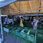 故郷館の野菜売り場