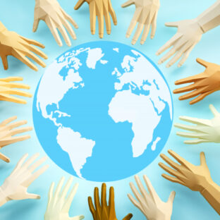 木と人間の共生がもたらす地球への影響