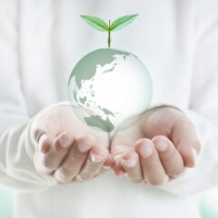 木を使った風水で運気アップ！自宅改善法