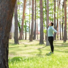 自然に癒される木の力：リラックス効果を科学的に解説