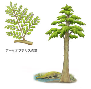 アーケオプテリス